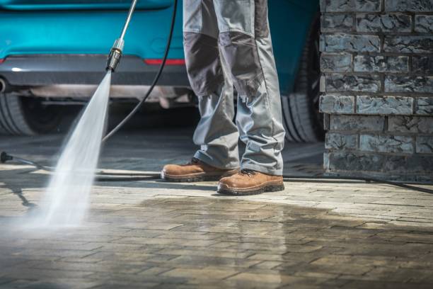 Best Winterizing Services  in Pharr, TX