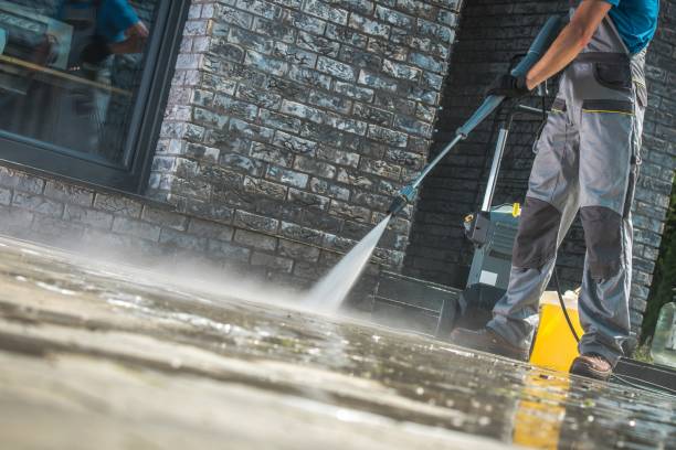Best Soft Washing  in Pharr, TX