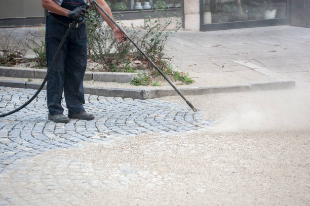 Best Factory Floor Cleaning  in Pharr, TX